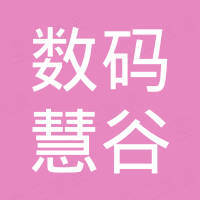 数码慧谷置业管理股份有限公司