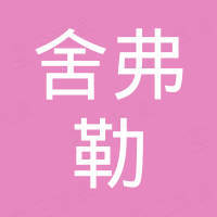 舍弗勒(中国)有限公司 - 企查查