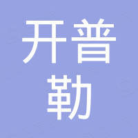 深圳开普勒新技术投资有限公司