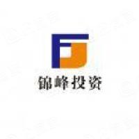 河南锦峰数字科技有限公司武汉分公司