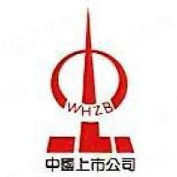 中百控股集团股份有限公司 - 企查查