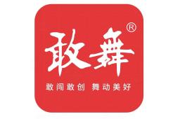 武汉敢舞科技有限公司 - 企查查