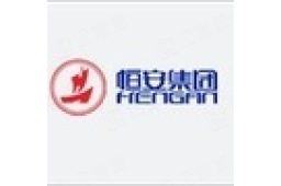 山东恒安纸业有限公司 - 企查查