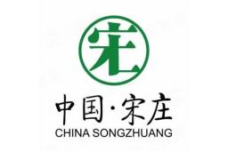 北京宋庄投资发展有限公司 - 企查查
