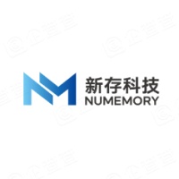 新存科技（武汉）有限责任公司 - 企查查