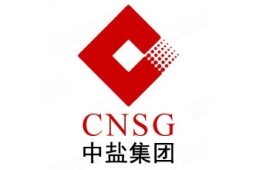 中盐榆林盐化有限公司经营信息 - 企查查