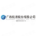 广西桂东电力股份有限公司合面狮水力发电厂