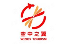 空中之翼通航(天津)旅游开发有限责任公司知识产权 - 企查查