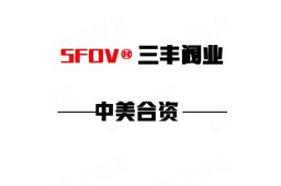 上海三丰阀门制造有限公司 - 企查查