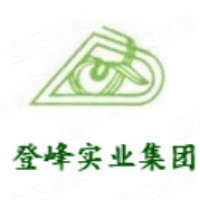 广州市登峰实业集团有限公司