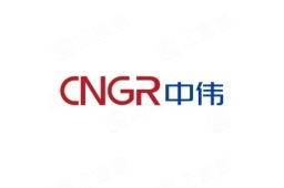中伟新材料股份有限公司 - 企查查