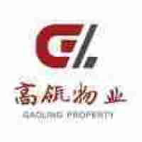 高浪控股股份有限公司 - 企查查