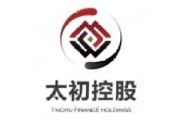 太初控股(山东)有限公司 - 企查查