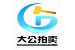 上海大公拍卖有限公司企业发展 - 企查查