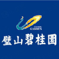 伟仕佳杰(重庆)科技有限公司 - 企查查