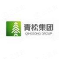 安徽青松食品有限公司 - 企查查