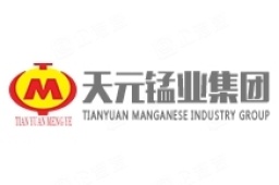宁夏天元锰业集团有限公司经营信息 - 企查查
