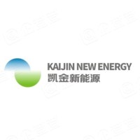 广东凯金新能源科技股份有限公司 - 企查查