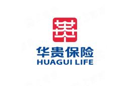 华贵人寿产品结构单一对发展限制的系统性分析