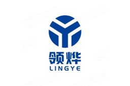 上海领烨信息科技有限公司 - 企查查