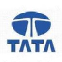 塔塔信息技术（中国）股份有限公司
