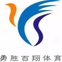 中国投资有限责任公司 - 企查查