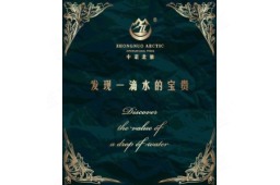 中诺北极国际商贸（北京）有限公司 - 企查查