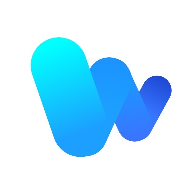 上海卫瓴信息科技有限公司