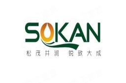 松井新材料集团股份有限公司 - 企查查