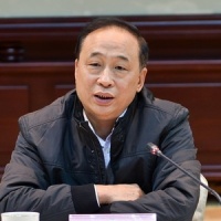 王海波 - 中国电子科技集团有限公司 - 企查查