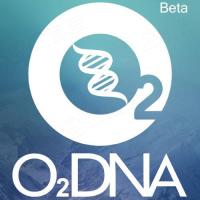 O2DNA